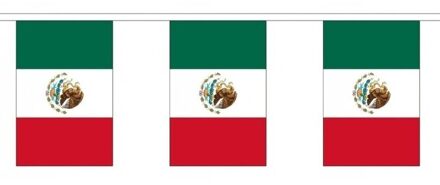 Luxe Mexicaanse vlaggenlijn 3 meter