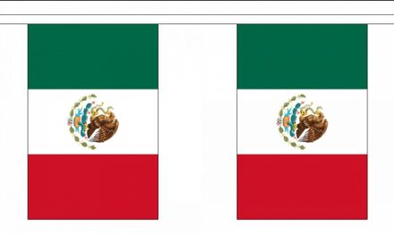 Luxe Mexico vlaggenlijn 9 m