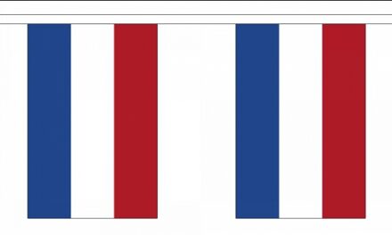 Luxe Nederland vlaggenlijn - polyester stof - 9 meter - 30 vlaggetjes - landen versiering Multi