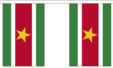 Luxe suriname vlaggenlijn 9 m