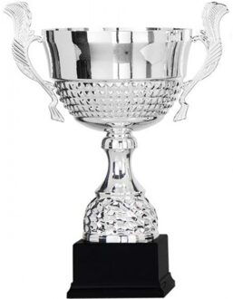 Luxe trofee/bokaal - zilver - oren - metaal - 36 x 18 cm