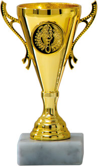 Luxe trofee/prijs beker met sierlijke oren - goud - kunststof - 13 x 8 cm