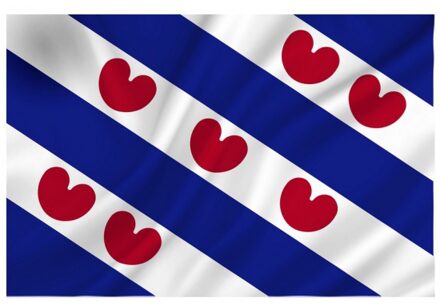 Luxe vlag Friesland/Fryslan 100 x 150 cm