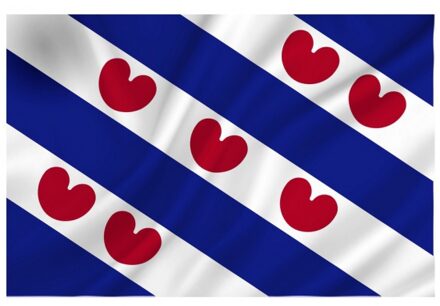 Luxe vlag Friesland/Fryslan 70 x 100 cm - Vlaggenmast vlaggen - Friese vlag voor buiten - Friesland feestartikelen