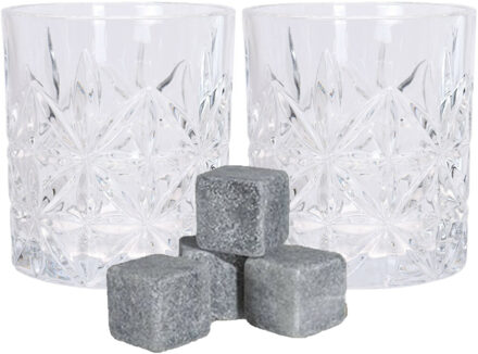 Luxe whiskyglazen set 4x stuks 230 ml met 6x whisky ijsblokstenen