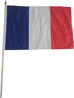 Luxe zwaaivlag Frankrijk - 30 x 45 cm - op stok - landen versiering Multi