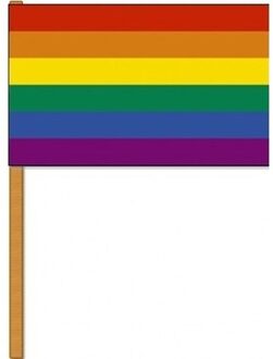 Luxe zwaaivlag/handvlag regenboog 30 x 45 cm met houten stok -  LGBT/LGBTQ feestartikelen