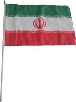 Luxe zwaaivlag Iran
