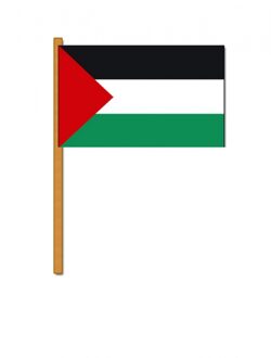 Luxe zwaaivlag Palestina