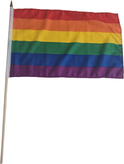 Luxe zwaaivlag regenboog 30 x 45 cm met houten stok Multi