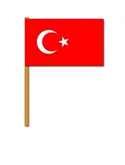 Luxe zwaaivlag Turkije 30 x 45 cm