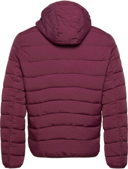 Lyle & Scott Jas winter Lightweight Padded Jacket Rood Bourgogne - XL