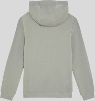 Lyle & Scott jongens hoodie met veelkleurige print van katoen - grijs