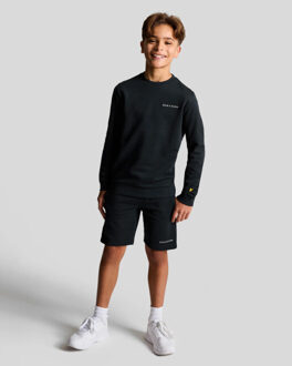 Lyle & Scott Lyle and Scott Casual sweater jongens - maat 134/140 Blauw