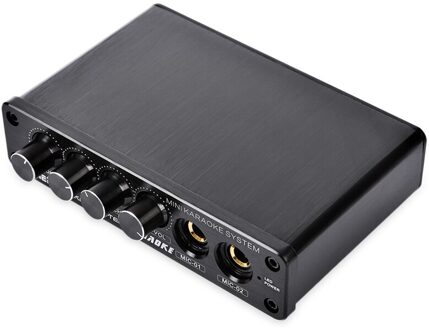 Lynepauaio Karaoke Tv/Mobiele Dual-Microfoon Mini Karaoke Mixing Console Die Ondersteunt Moving-Coil Microfoon Ingang, en Is S