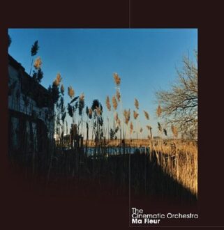 Ma Fleur - Cinematic Orchestra