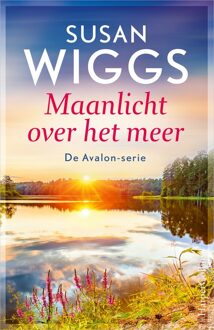 Maanlicht over het meer