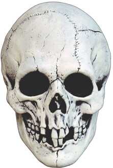 Mabry Monsters Mask Night Owl Skull White