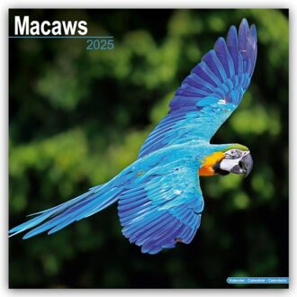 Macaws Calendar 2025 Square Bird Wall Calendar - 16 Month - Browntrout Wandkalender - Avonside Publishing Ltd
