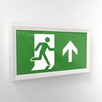 Macer - LED Noodverlichting met Accu - Opbouw - IP20 voor binnen - 3,5 W 100 Lumen - 3 uur Noodaccu - Incl. pictogram voor vluchtwegaanduiding Wit/Groen