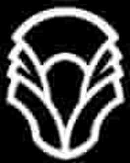 Magic The Gathering Dominaria Pocket Print T-shirt - Zwart - L