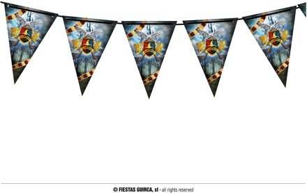 Magical School Vlaggenlijn Harry (3m) Multikleur - Print