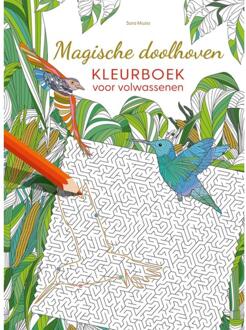 Magische Doolhoven Kleurboek Voor Volwassenen