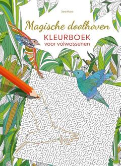 Magische Doolhoven Kleurboek Voor Volwassenen