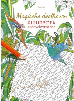 Magische Doolhoven Kleurboek Voor Volwassenen