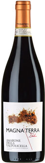 Magna Terra Amarone Della Valpolicella