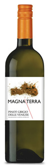 Magna Terra Pinot Grigio delle Venezie DOC