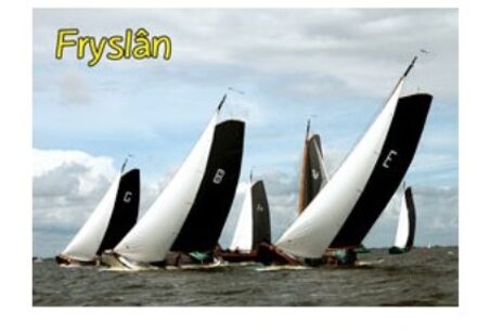 Magneet 3-D Friesland multi