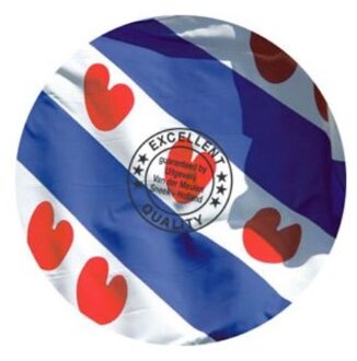 Magneet rond Friesland multi