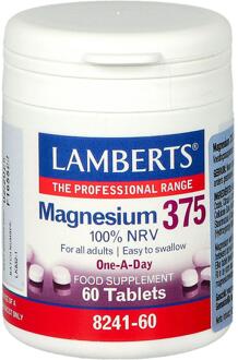 Magnesium 375 (60tb)