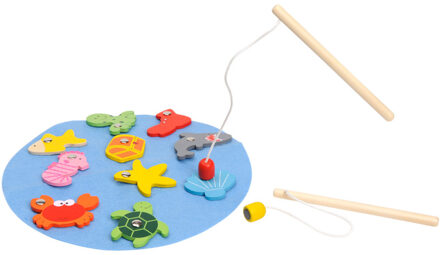 Magnetisch Visspel in Koker