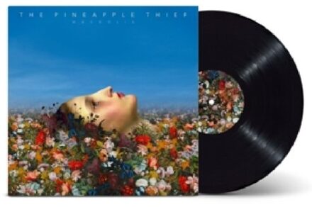 Magnolia - Pineapple Thief