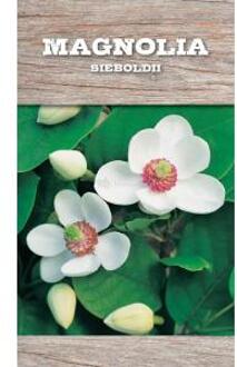 Magnolia struik Sieboldii - 80 - 100 cm - 4 stuks