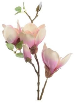 magnolia zijde steel
