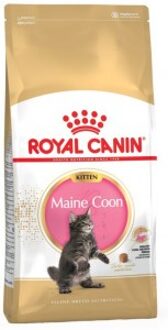 Maine Coon Kitten - Kattenvoer - 2 kg