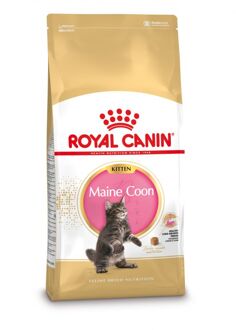 Maine Coon Kitten - Kattenvoer - 400 g