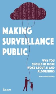Making Surveillance Public - Marc Schuilenburg - ebook