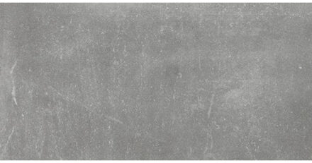 Maku keramische vloertegel natuursteenlook gerectificeerd gerectificeerd 30 x 60 cm, grey