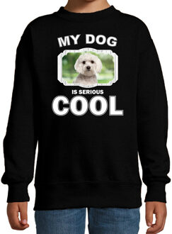 Maltezer honden trui / sweater my dog is serious cool zwart - kinderen - Maltezers liefhebber cadeau sweaters 14-15 jaar (170/176)