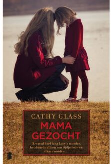 Mama gezocht - Boek Cathy Glass (9022570614)