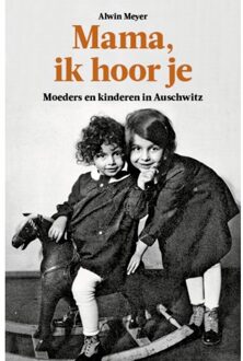 Mama, Ik Hoor Je - Alwin Meyer