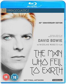 Man Who Fell To Earth