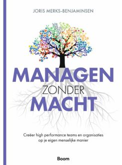 Managen Zonder Macht - Joris Merks