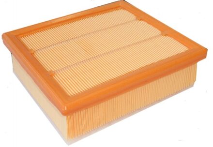 MANN FILTER Filtre a air C21002