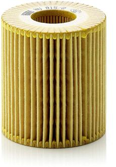 MANN FILTER Oliefilter HU815 / 2X