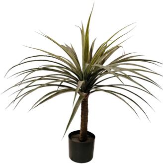 mansion atmosphere Kunstplant dracaena 80cm groen